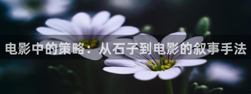 茄子视频色版