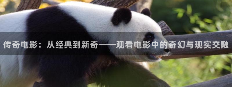 樱花视频茄子视频