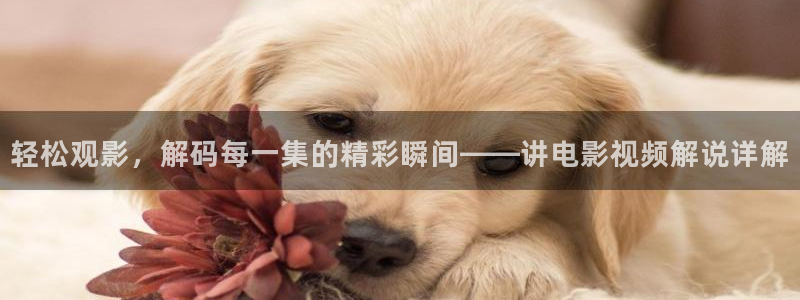 茄子视频a