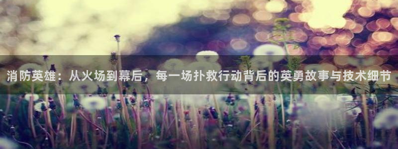 丝瓜茄子视频在线观看