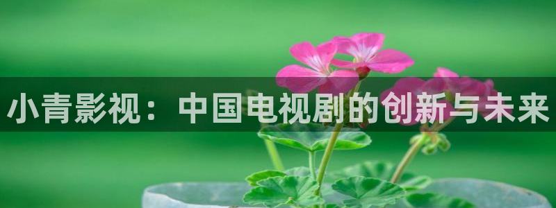 茄子视频qz