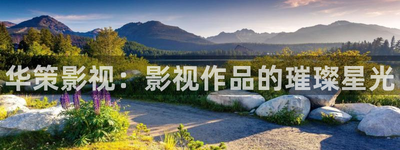 大茄子视频