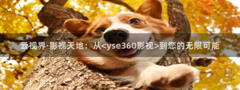 茄子视频qz
