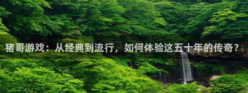 丝瓜茄子视频在线观看