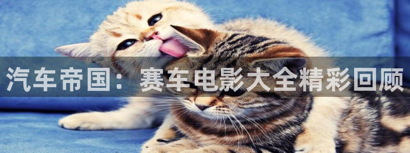 茄子视频 magnet