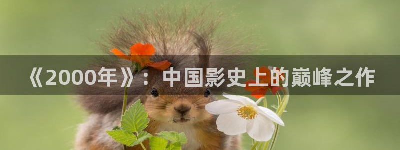大茄子视频