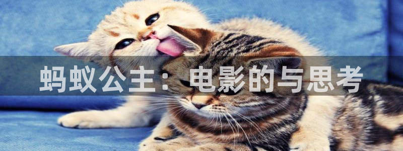 茄子视频?