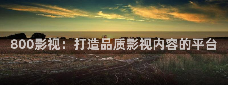 茄子视频视频
