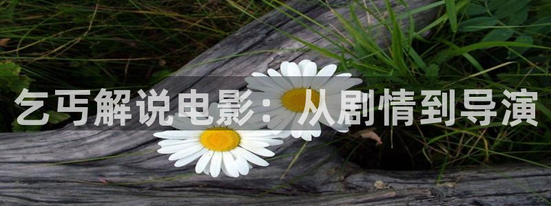 大茄子视频