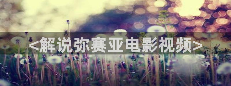 茄子视频?