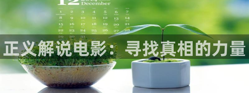 茄子视频www