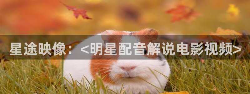 小优视频茄子视频