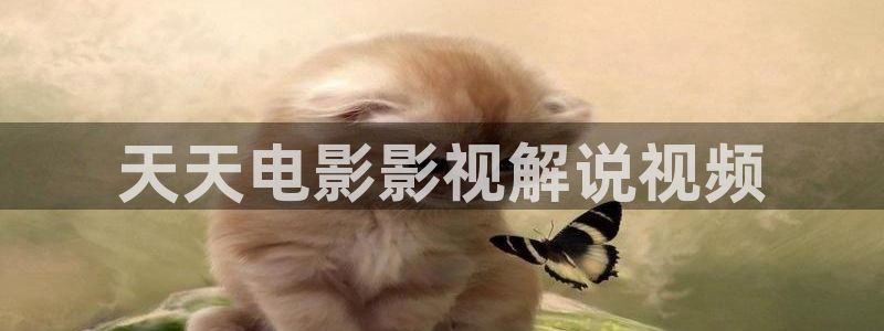 茄子视频a