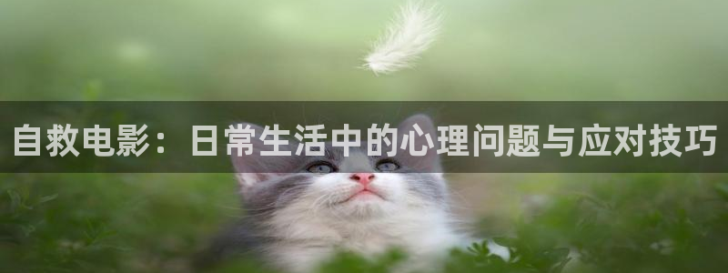 茄子视频 magnet