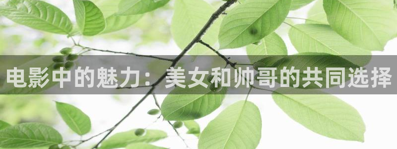 茄子视频了
