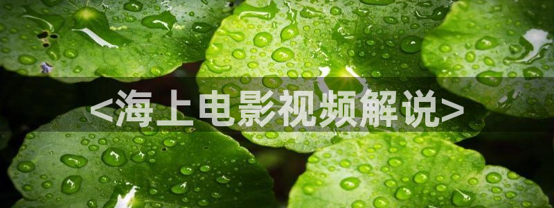 茄子视频