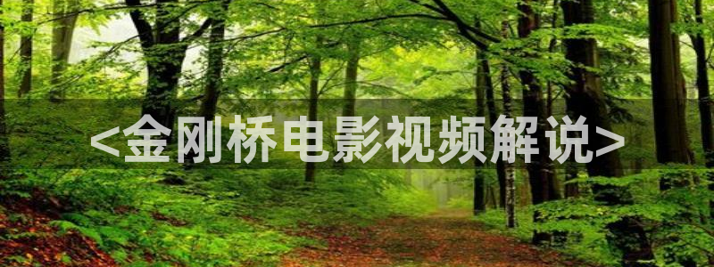 茄子视频了
