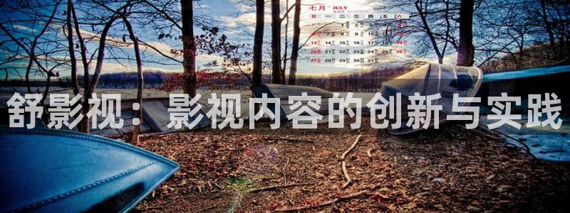 茄子视频视频