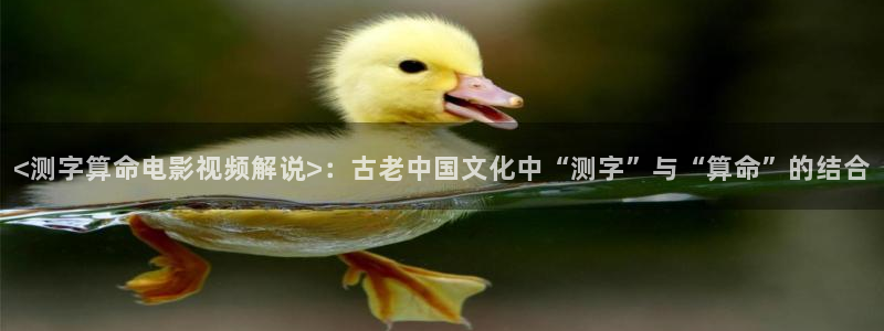 茄子视频?
