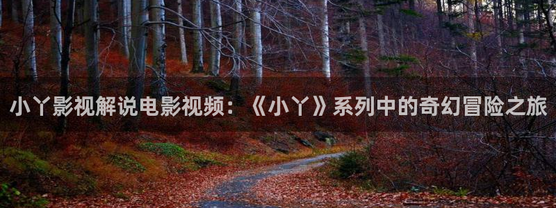 茄子视频qz
