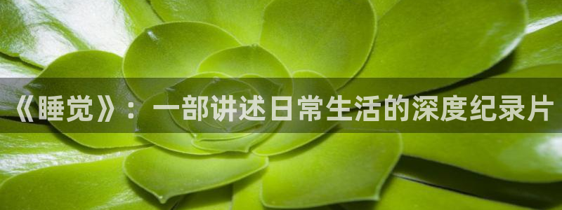 茄子视频a