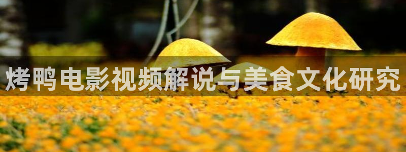 茄子视频www