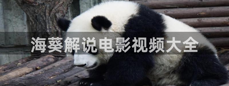 茄子视频18
