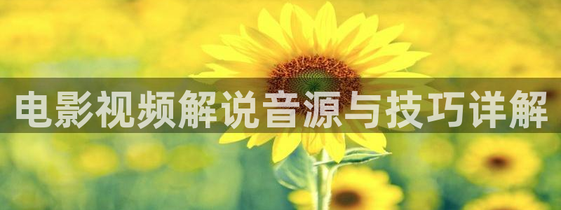 91茄子视频