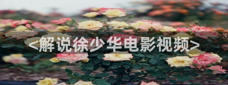 茄子视频了