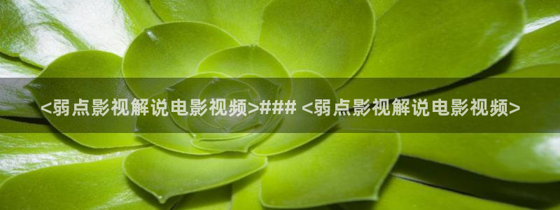 樱桃茄子视频