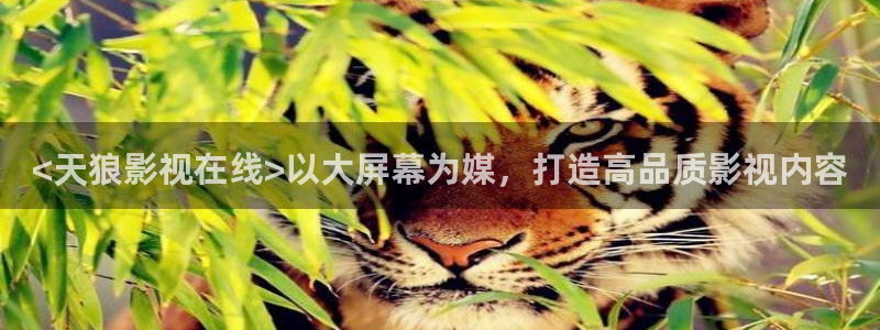 茄子视频一