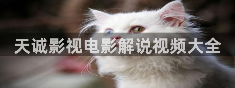 qiezi 茄子视频