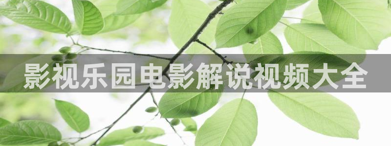 茄子视频了