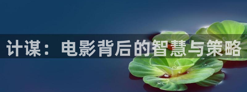 茄子视频18