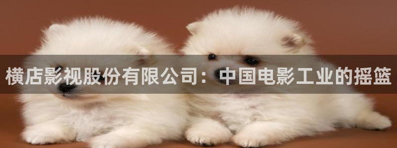 91茄子视频