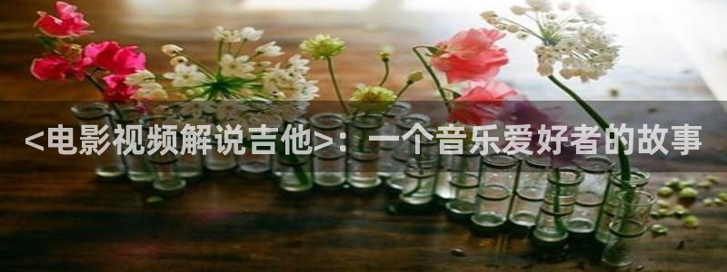 茄子视频18