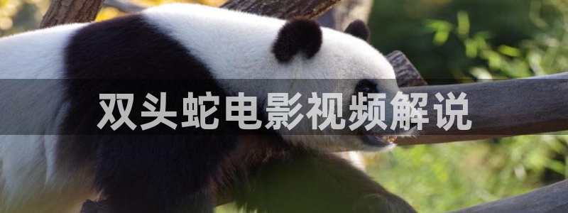 qiezi 茄子视频