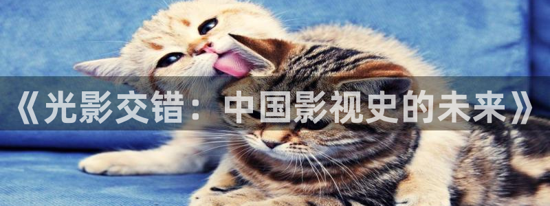 大茄子视频