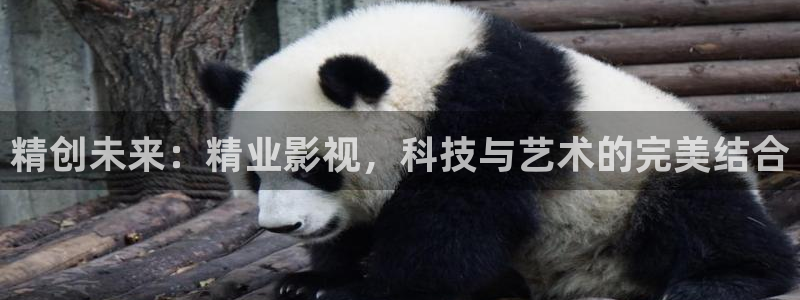 樱桃茄子视频