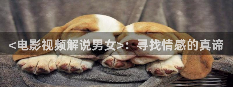 茄子视频a
