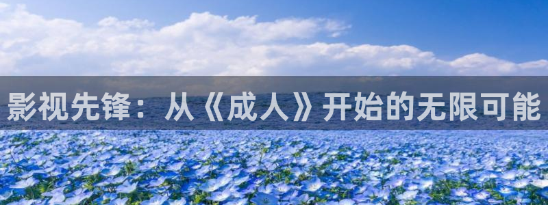 茄子视频