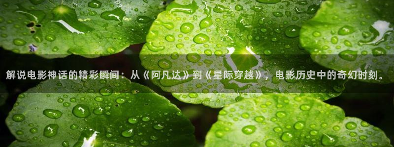 茄子视频了