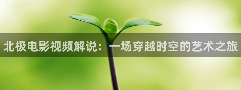 茄子视频 magnet