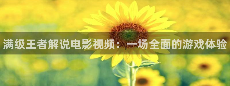茄子视频18