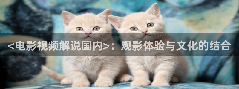 qiezi茄子视频
