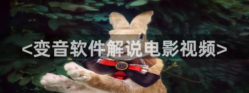 茄子视频了