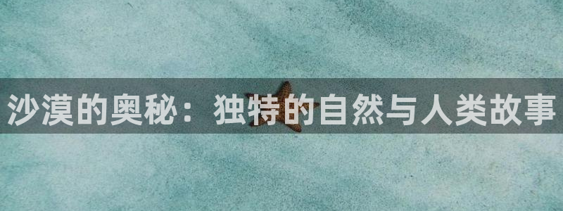 茄子视频了