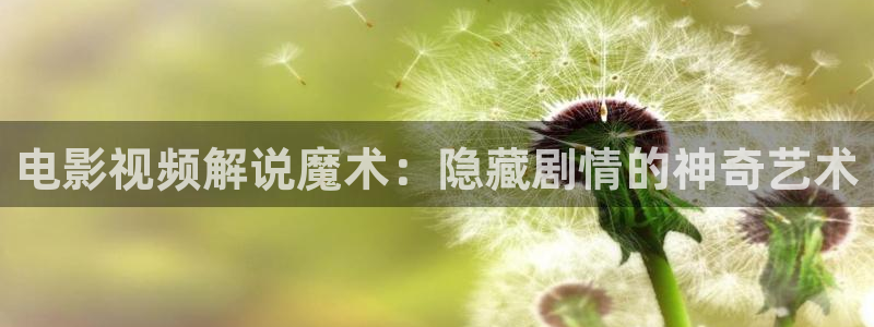 樱桃茄子视频